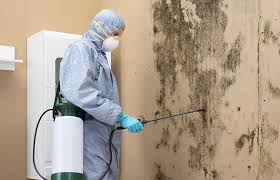 Forensic Mold Investigation in Lemoore, CA